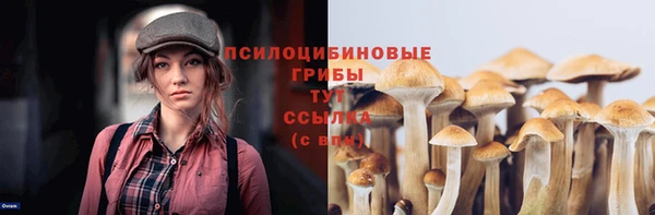 скорость Бородино