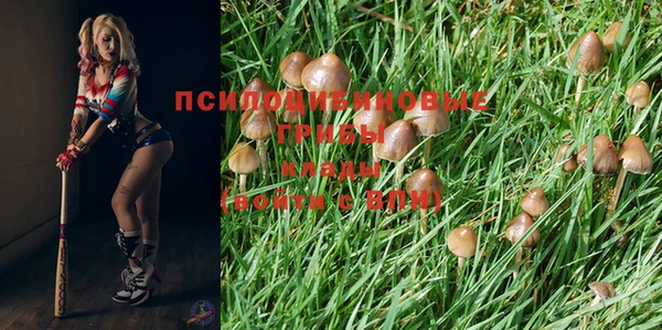 скорость Бородино