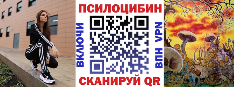 Псилоцибиновые грибы Psilocybe  кракен как зайти  Новочебоксарск 